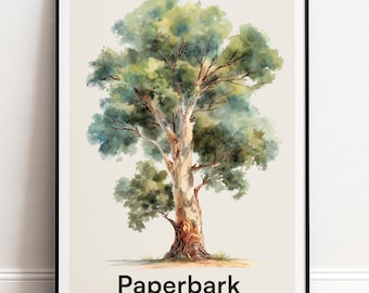 Paperbark Baum Druck | Botanische Wandkunst | Personalisiertes Geschenk Natur-Wand-Dekor