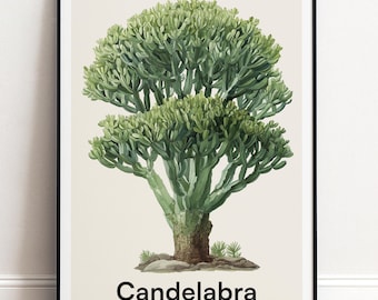 Kerzenständer Poster | Botanische Wandkunst | Personalisiertes Geschenk Natur-Wand-Dekor