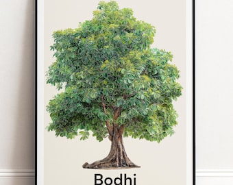 Bodhi Baum Print | Botanische Wandkunst | Personalisiertes Geschenk Natur-Wand-Dekor