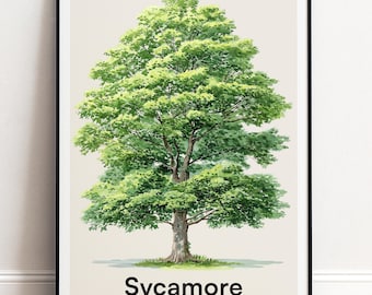 Platane Baum Druck | Botanische Wandkunst | Personalisiertes Geschenk Natur-Wand-Dekor