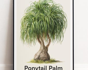 Pferdeschwanz Palme Druck | Botanische Wandkunst | Personalisiertes Geschenk Natur-Wand-Dekor