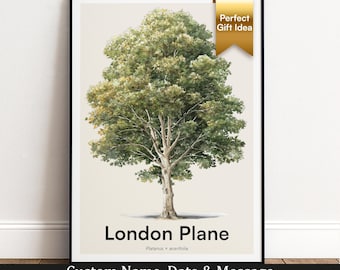 London Plane Tree Print | Botanical Wall Art | Personalised Gift | Nature Wall Decor