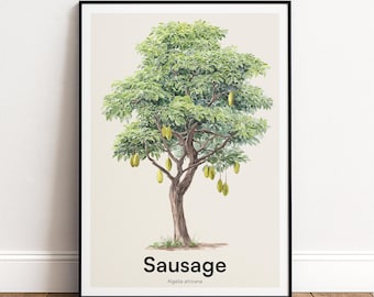 Sausage Tree Print | Botanical Wall Art | Personalised or Minimal Poster | Nature Gift