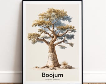 Boojum Tree Print | Botanical Wall Art | Personalised or Minimal Poster | Nature Gift