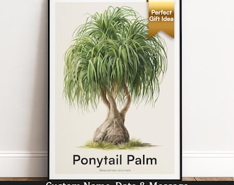 Ponytail Palm Tree Print | Botanical Wall Art | Personalised Gift | Nature Wall Decor