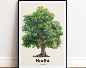 Bodhi Tree Print | Botanical Wall Art | Personalised or Minimal Poster | Nature Gift