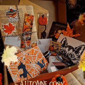 Box livre Automne Halloween - cosy autumn fall vibes - Romance Romantasy Polar Thriller Cosy mystery citrouille pumpkin spice