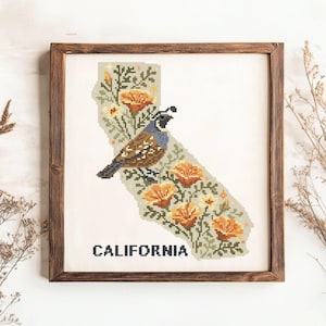 Puede incluir: Obra de arte de punto de cruz en un marco de madera. El diseño presenta el contorno de California lleno de flores y un pájaro. La palabra "CALIFORNIA" está bordada en la parte inferior. La paleta de colores incluye tonos de verde, naranja, marrón y azul.