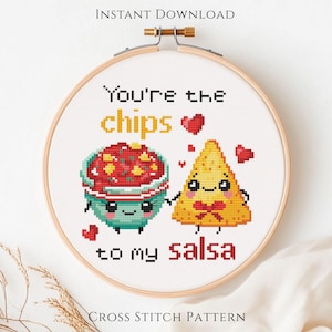 Funny Food Small Cross Stitch Pattern | Chips to My Salsa Quote | Digital Download PDF | Begginer Easy