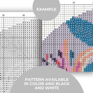 May include: A cross-stitch pattern chart with a colorful floral design. The chart is divided into squares, with each square representing a stitch. The text "PATTERN AVAILABLE IN COLOR AND BLACK AND WHITE" is visible.