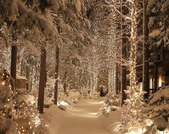 Winter Forest Path with Lights, Christmas Wall Art (Digital Download)
