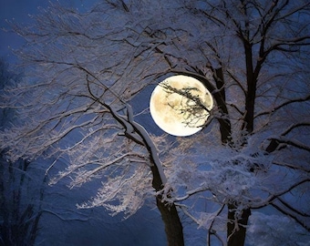 Winter Moonlight Landscape – Snowy Tree Digital Wall Art | Full Moon Night Printable Decor