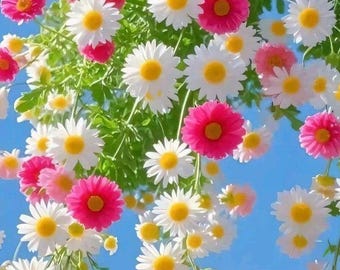 Pink White Daisy Floral Print, Spring Cottagecore Wall Art (Digital Download)