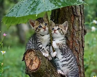 Kitten Photography Print – Under Leaf Umbrella, Adorable Animal Wall Art