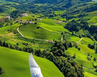 White Dove Green Hills Art Print – Peaceful Landscape Photography