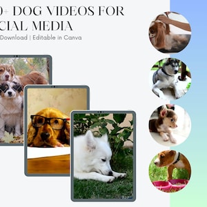 May include: A digital graphic with the text "200+ DOG VIDEOS FOR SOCIAL MEDIA" and "Instant Download | Editable in Canva." The image features several tablets displaying dog photos and circular images of dogs.