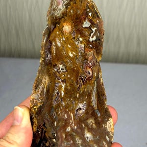 May include: A polished agate slab featuring a complex pattern of earthy brown, ochre, and rust-coloured tones interspersed with translucent white and grey crystalline inclusions. The surface displays a glossy, irregular texture with natural banding.