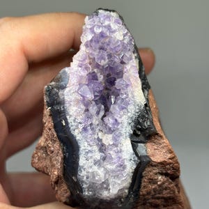 May include: A natural amethyst geode with a cluster of purple crystals. The geode is set in a matrix of reddish-brown rock with a dark, glossy border. The crystals are a vibrant shade of purple.