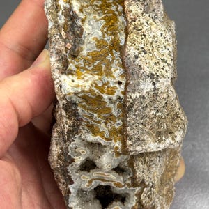 Puede incluir: Un espécimen de roca rugoso e irregular que presenta una veta central de ágata blanca y marrón dorada con intrincados patrones de encaje. El exterior circundante está compuesto por una piedra gruesa, texturizada y grisácea con aspecto erosionado.