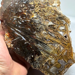 May include: A polished slab of plume agate featuring intricate, needle-like inclusions in shades of dark brown, amber, and gold. The mineral specimen displays a complex, branching pattern of dark, elongated crystals set against a translucent, light-coloured background with a smooth, irregular outer edge.
