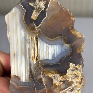 May include: A polished agate slice featuring concentric bands of translucent white, gray, and deep brown. The stone displays a central crystalline fissure with jagged edges, surrounded by organic, flowing patterns and earthy mineral inclusions.