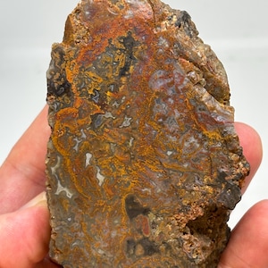 May include: A polished slab of agate stone featuring intricate, moss-like patterns in shades of burnt orange, deep brown, and translucent grey. The surface displays a complex, dendritic structure with varied textures and natural mineral inclusions.
