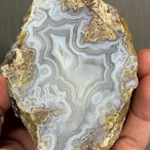 May include: A polished agate slice featuring intricate white and translucent grey banding patterns. The centre displays a complex, swirling formation of concentric rings, while the outer edge remains a rough, textured, earthy brown rock crust.