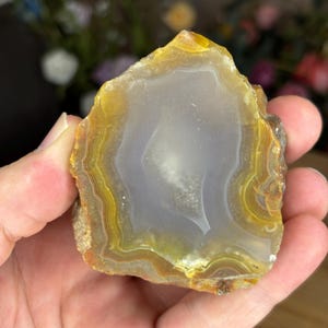 Puede incluir: Una rodaja de ágata pulida con un centro translúcido de color gris pálido rodeado por bandas concéntricas de color amarillo, dorado y marrón. La piedra tiene un borde exterior natural y rugoso y una cara lisa y plana con capas minerales.