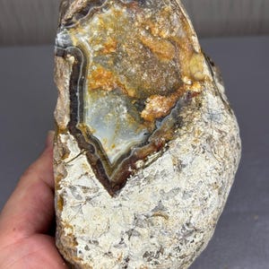 以下が含まれることがあります： 質感のある明るい色の外殻を持つ、不規則な形の粗いジオード。中心部は磨かれた空洞になっており、白、茶色、半透明の灰色の鉱物が同心円状の帯となって、黄金色の核を囲んでいます。