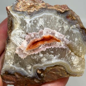 Può includere: Un esemplare di agata lucidata caratterizzato da bande concentriche marroni, bianche e grigie che circondano una cavità centrale riempita di strutture cristalline traslucide e un nucleo arancione brillante al centro.