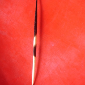 Moroccan porcupine spine quill hair pin for Tribal fusion dance, hair wear - two points   - VARIOUS