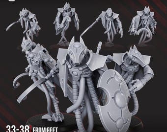 Iron Guards Squad