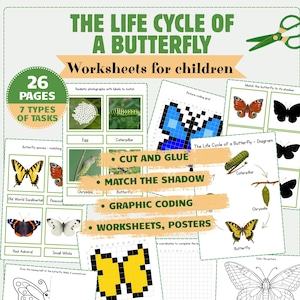 Butterfly Life Cycle Montessori Worksheets Poster, Activities, Coding Grid, Butterfly Species, Coloring Pages, Puzzles,Drawing Printable PDF