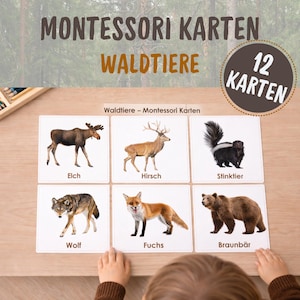 May include: A set of 12 Montessori flashcards featuring forest animals. Each card displays a different animal, including a moose, deer, skunk, wolf, fox, and bear. The cards are arranged on a light wooden surface, with German text at the top.