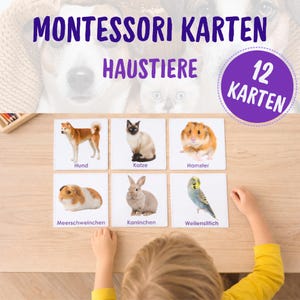 May include: Montessori flashcards featuring images of pets, including a dog, cat, hamster, guinea pig, rabbit, and parakeet. The set includes 12 cards. The text on the cards is in German.