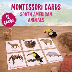 Cartes Montessori sur les animaux d'Amérique du Sud, cartes-éclair pour les tout-petits, apprentissage de la nature, jeu d'association d'ombres, jeu de mémoire des continents du monde, PDF à imprimer