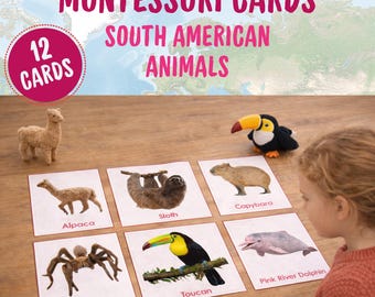 South America Animals Montessori Cards, Flashcards for Toddlers, Nature Learning, Shadow Matching, World Continents Memory Game,PDF to print