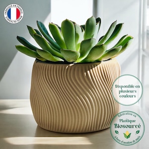 Jarrón de diseño “Dolce” – Decoración para plantas de interior