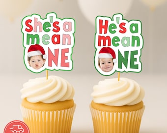 Cupcake-Topper „Er ist ein Fiesling“ oder „Sie ist ein Fiesling“ – Was für ein Spaß, einer zu sein! Personalisierte Weihnachts- und Geburtstagsdekorationen