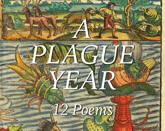 A Plague Year: 12 Poems | Erik La Prade | Poetry | New