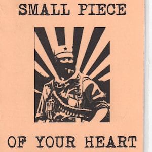 I Ask That A Small Piece Of Your Heart Be Zapatista