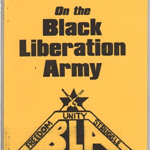 On the Black Liberation Army