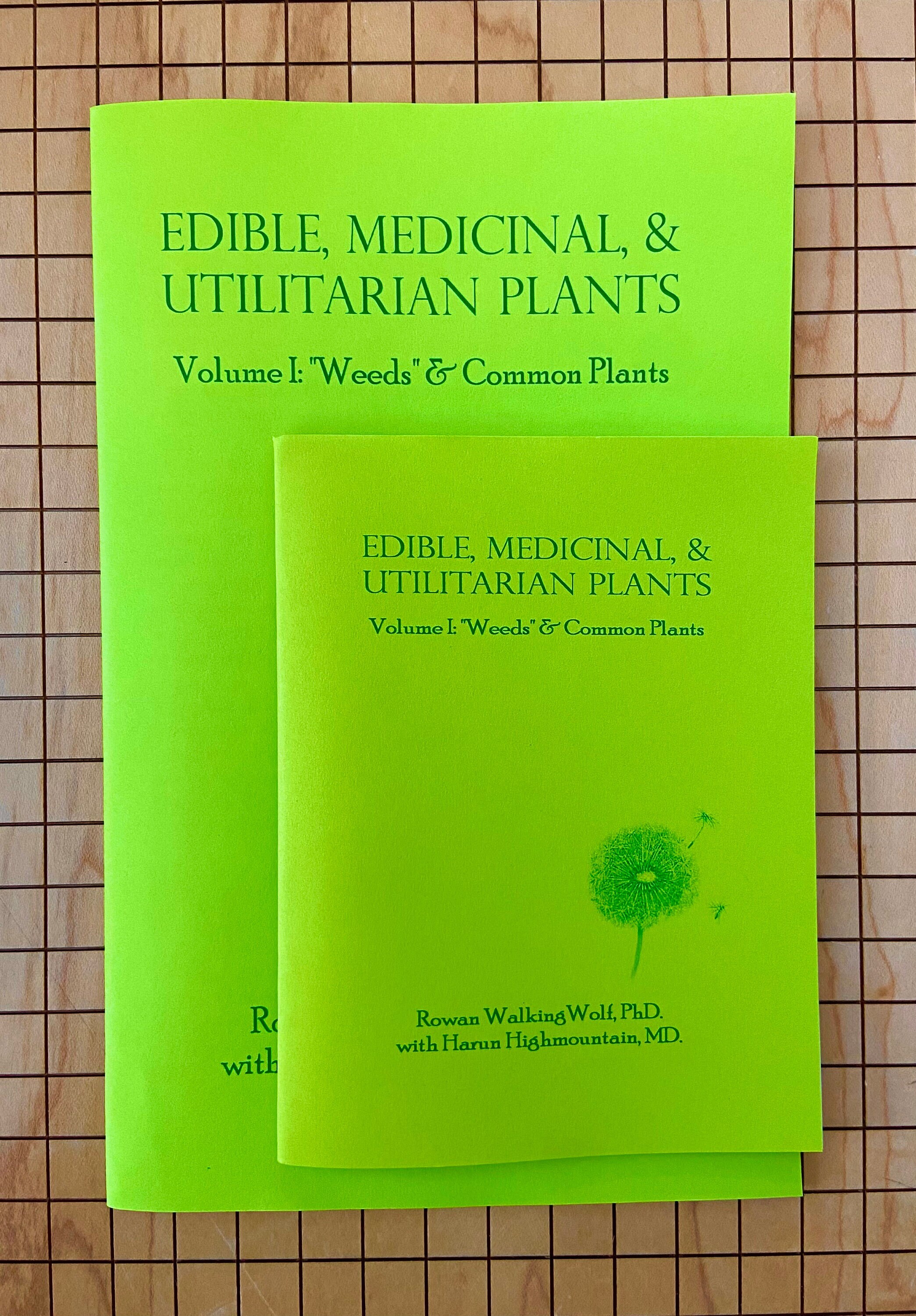 Edible, Medicinal, and Utilitarian Plants | Brand New | Zine | Weeds & Common Plants | Rowan Walking Wolf
