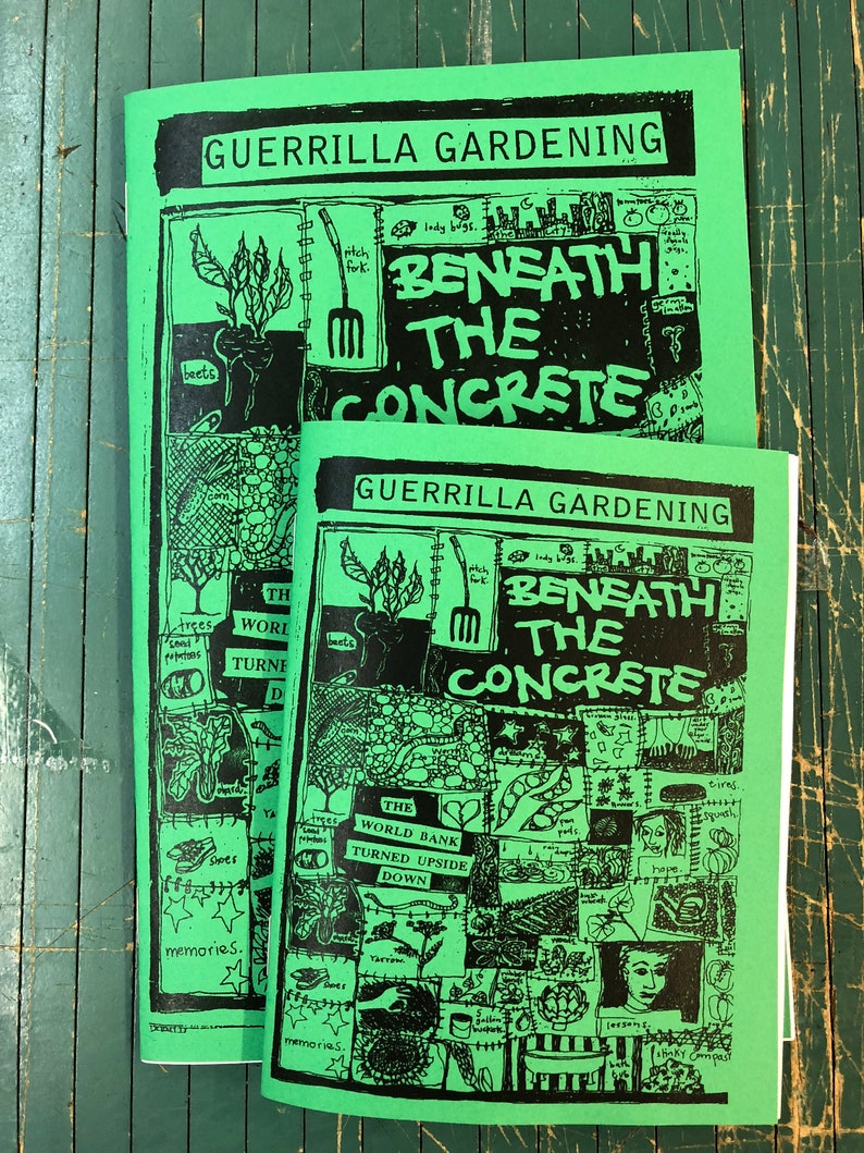 Guerrilla gardening beneath concrete transforming urban spaces into green oases