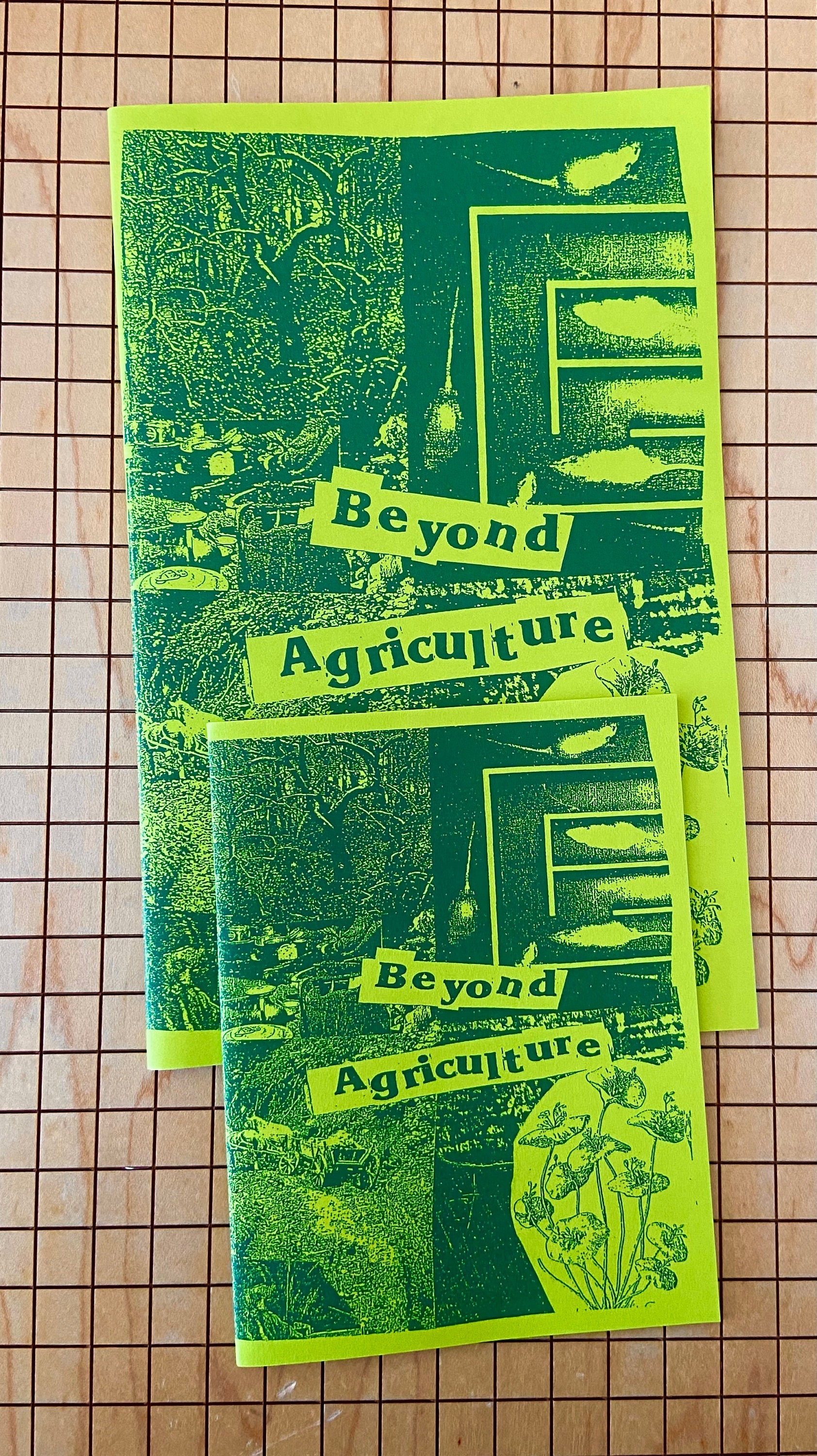 Beyond Agriculture | Permaculture | Organic Farming | Zine | Brand New
