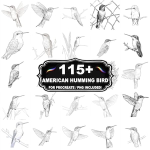 May include: A collection of 20+ detailed black and white illustrations of American hummingbirds in various poses. The image includes the text "115+ AMERICAN HUMMING BIRD FOR PROCREATE / PNG INCLUDED!"