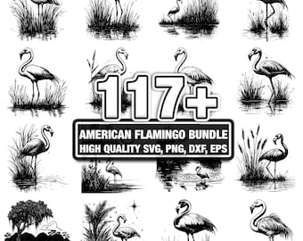 Más de 115 diseños de flamencos americanos, descarga instantánea en formato PNG, DXF, EPS y SVG.