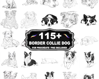 Más de 108 sellos con diseños de border collie, set de razas de perros, descarga instantánea