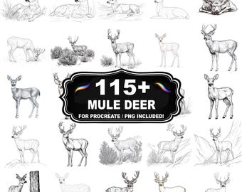 Mais de 115 carimbos de veado-mula para Procreate, pincéis de animais selvagens para Procreate, download instantâneo com PNG incluído.