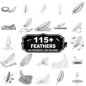115+ Feathers Stamps for Procreate, Boho Nature Brush Set, Instant Download PNG Included
